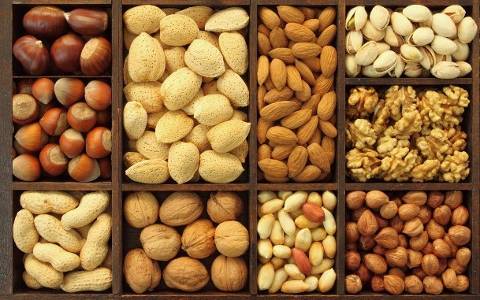nuts kernels seeds wholesale supplier